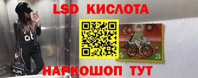 каннабис Будённовск