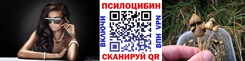 Псилоцибиновые грибы прущие грибы  Дубна 