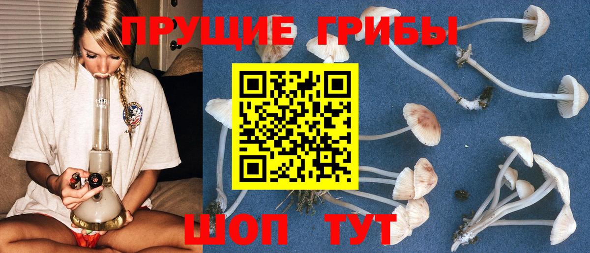 Псилоцибиновые грибы прущие грибы  наркота  Дубна 