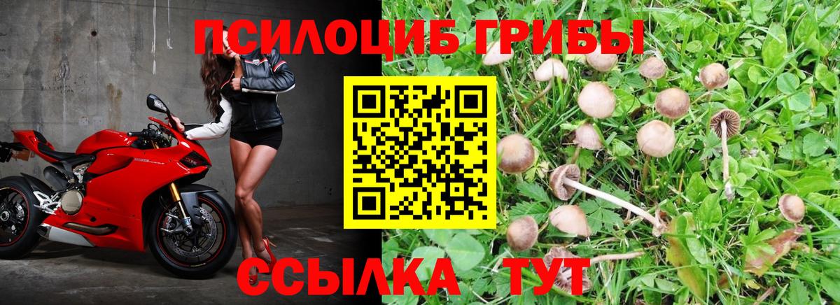 Галлюциногенные грибы мицелий Дубна