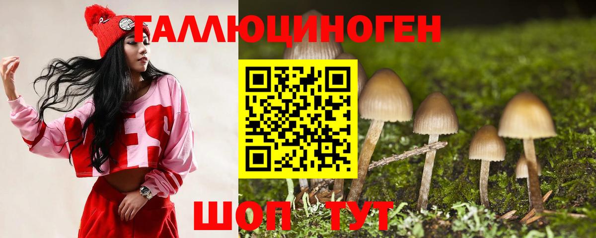 Бошки Шишки  КОКАИН  Дубна  Мяу-Мяу  Альфа-ПВП  XTC  Гашиш  Вход с VPN 